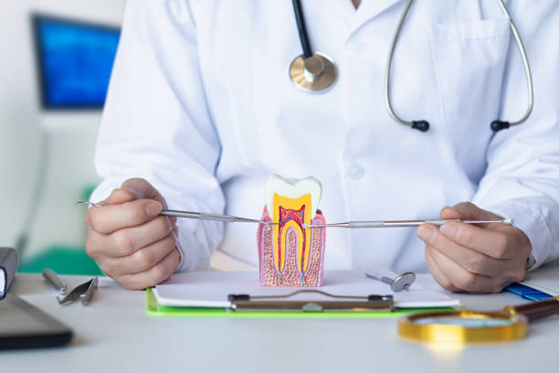 Best Emergency Dentist for Knocked-Out Tooth in Montrose, PA